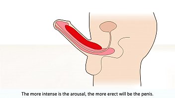 male orgasm porn