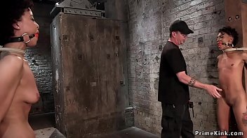 two bound to vibrator