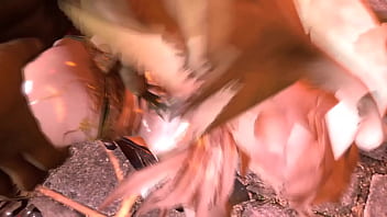 south african fattest pussy sex videos