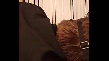 daddy