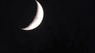 free pron videos of autum moon