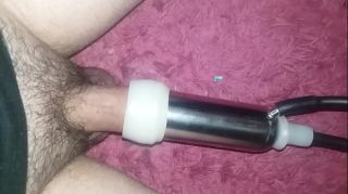 engorged tits cow milking machine